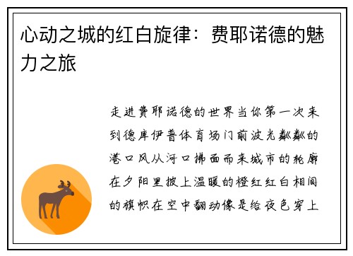 心动之城的红白旋律：费耶诺德的魅力之旅