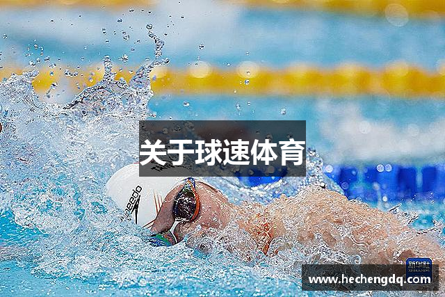 关于球速体育